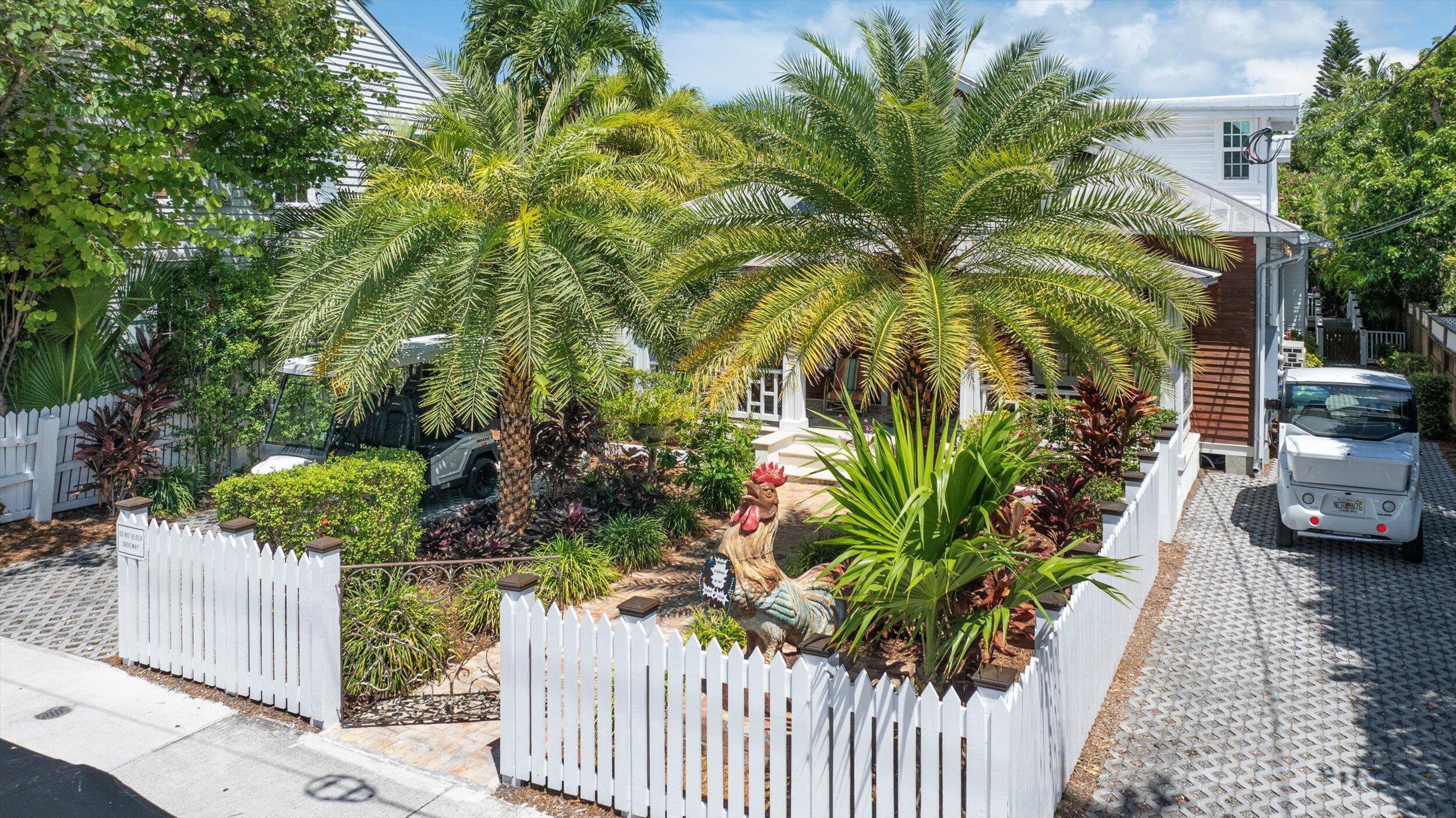 Image 1: 114-Drone011