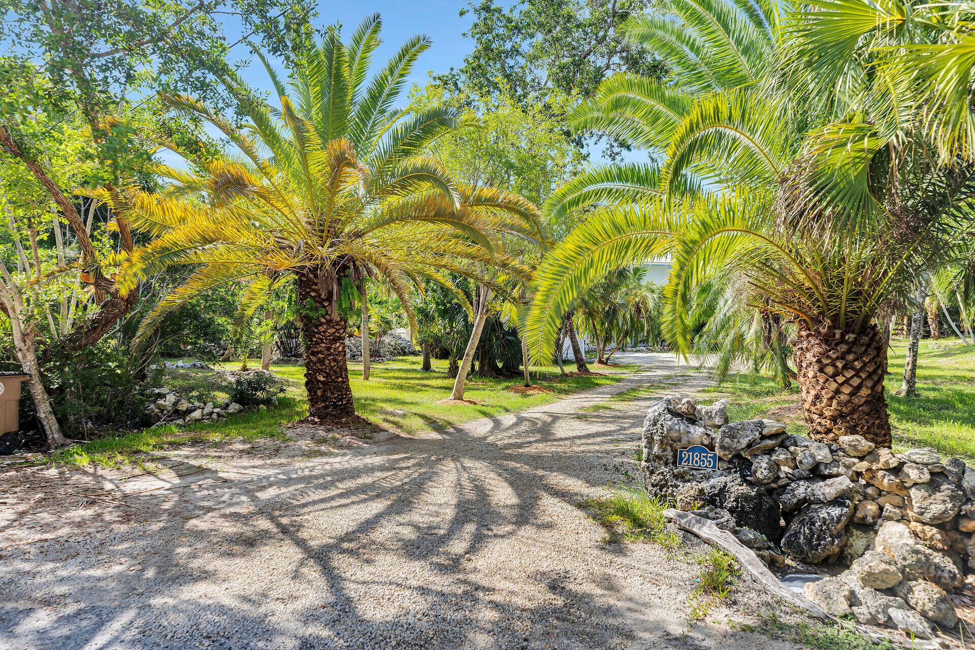 Image 2: Driveway 1