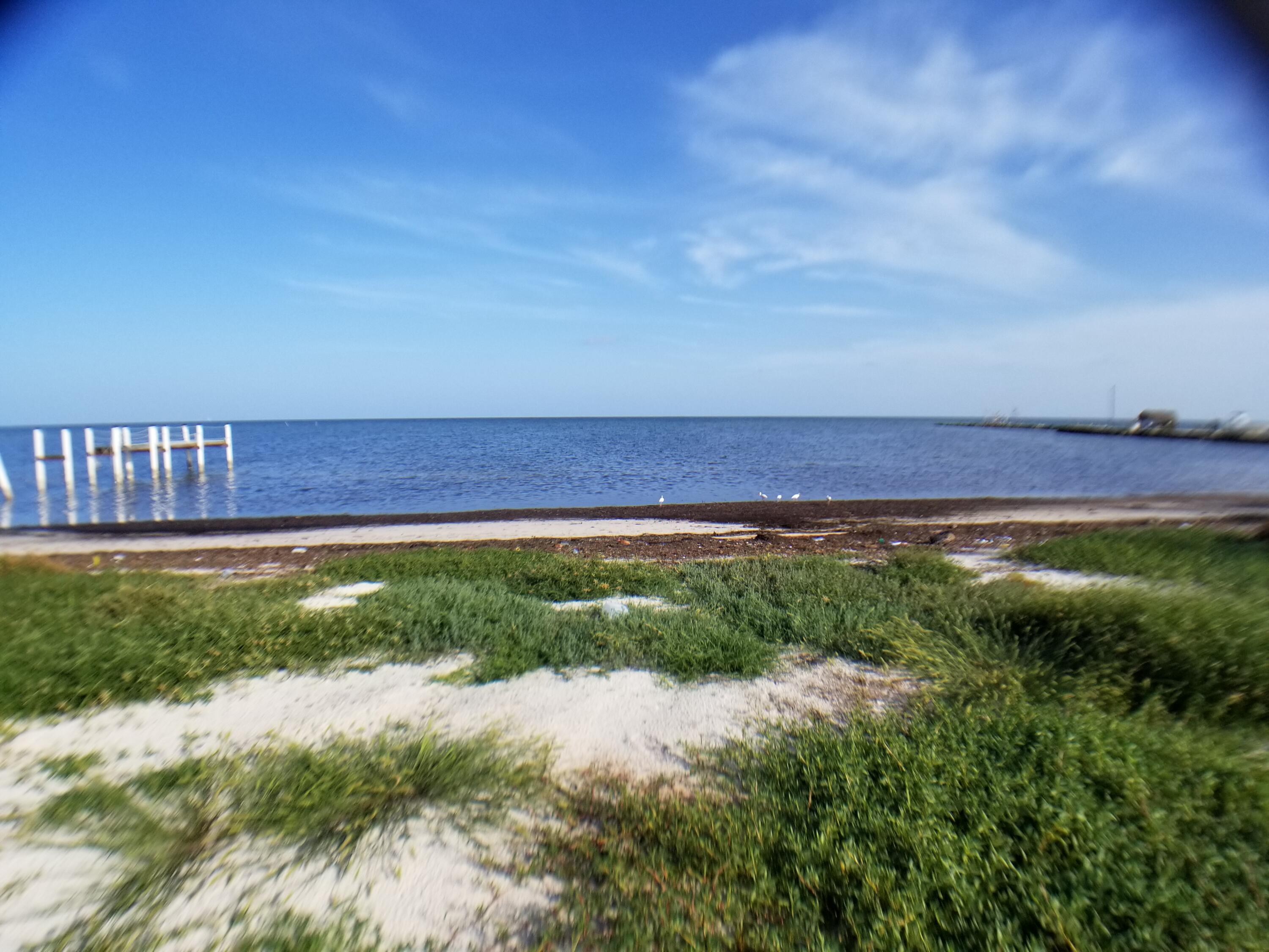 Image 3: 20210910_173843