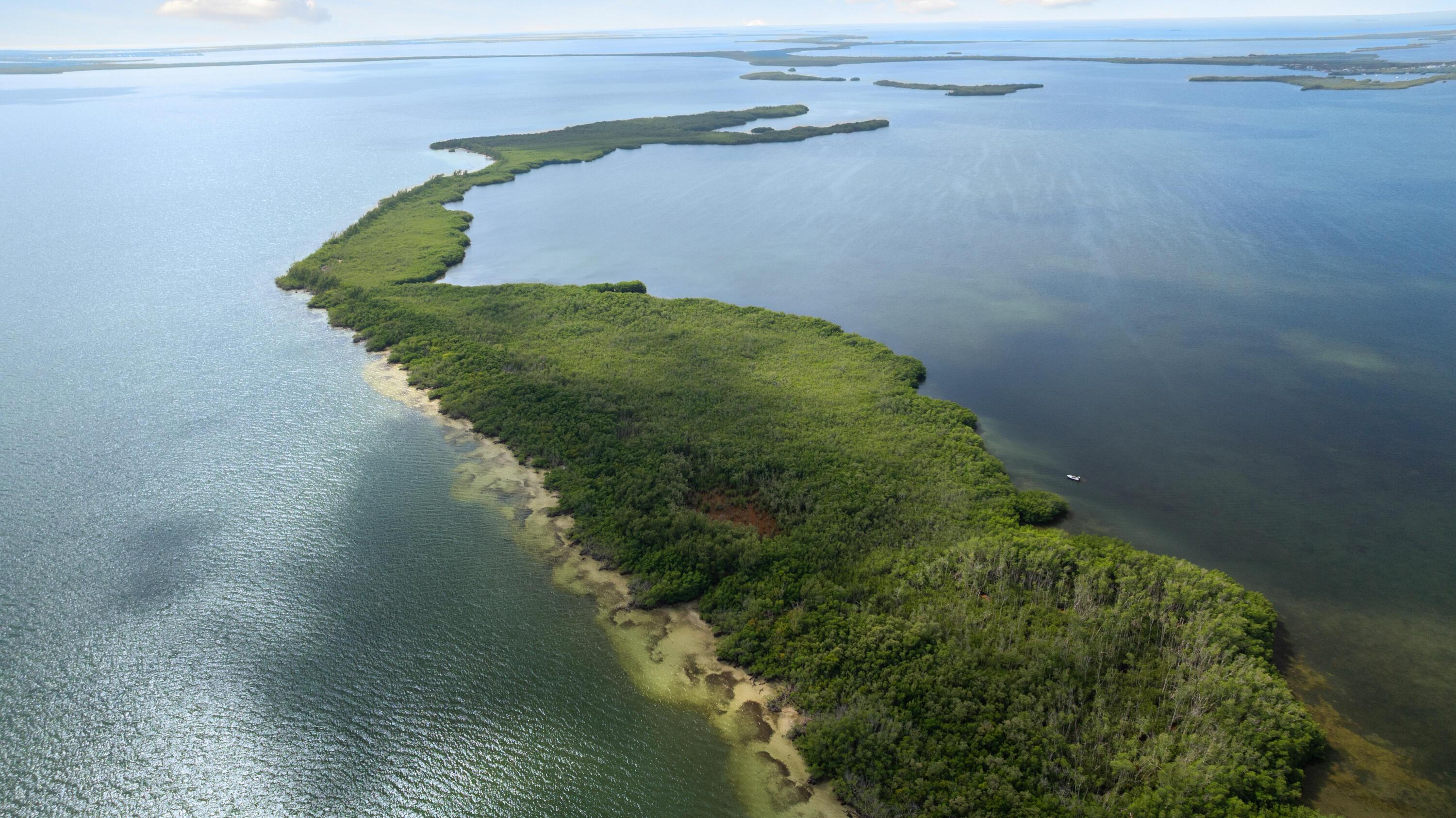 Image 4: Main Key 12-12-2025 (26)