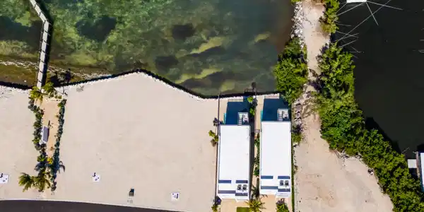 Image 4: DJI_20251114122459_0154_D-Edit