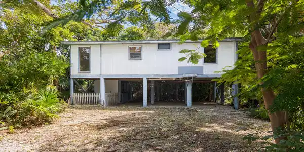 347 Guava Avenue