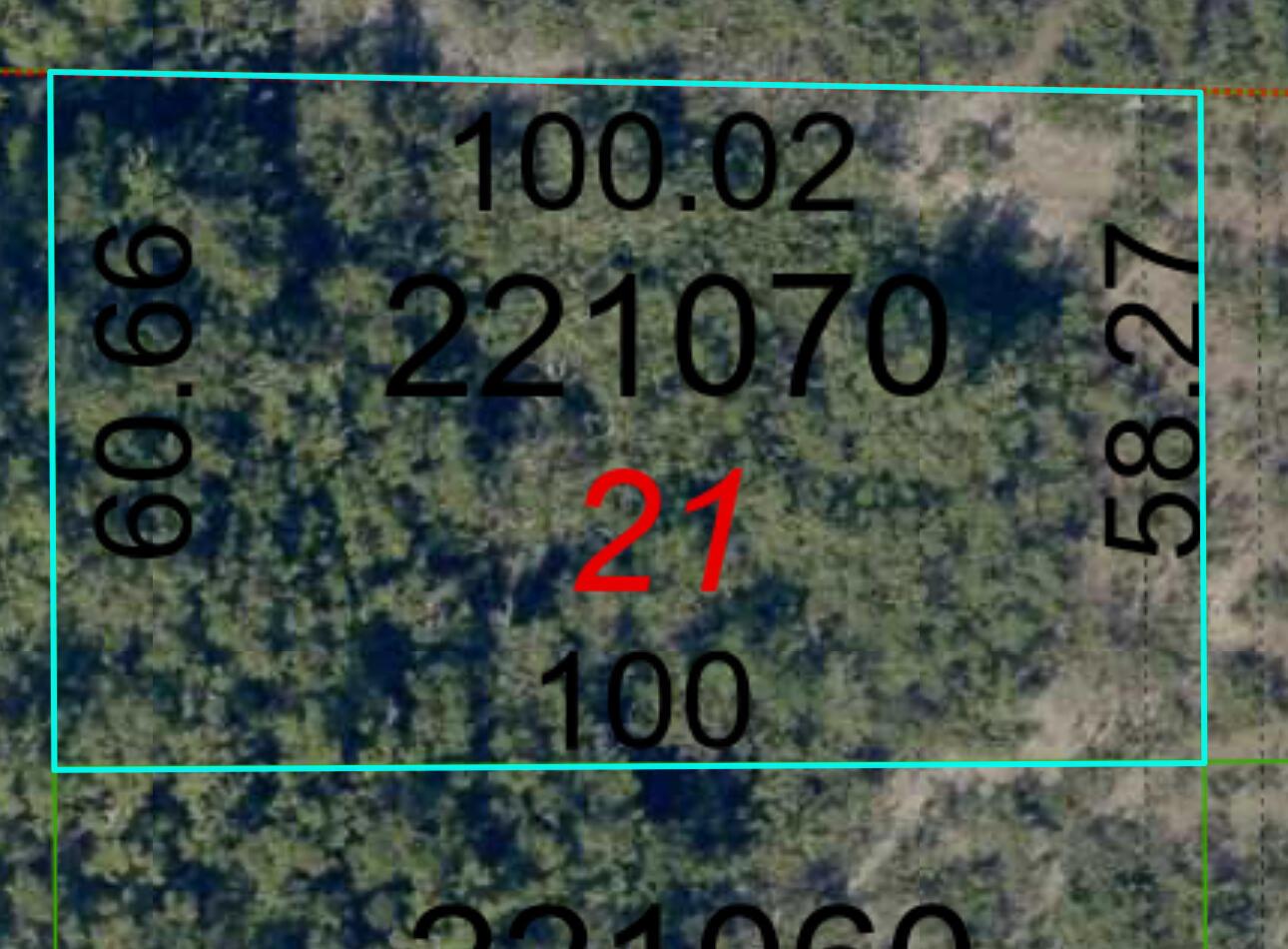 Image 3: Rogo Lot