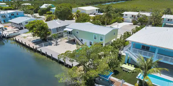 Image 3: Backyard Aerial