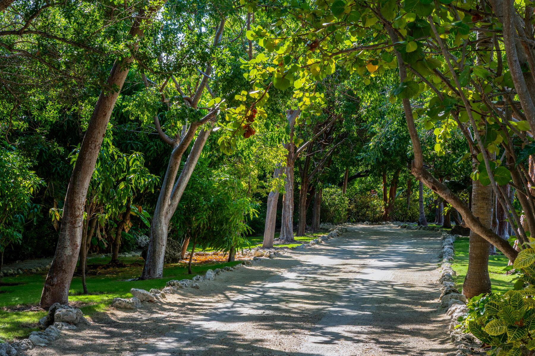 Image 4: Winding driveway