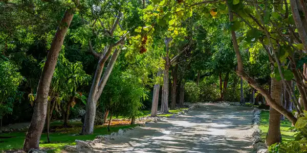 Image 4: Winding driveway