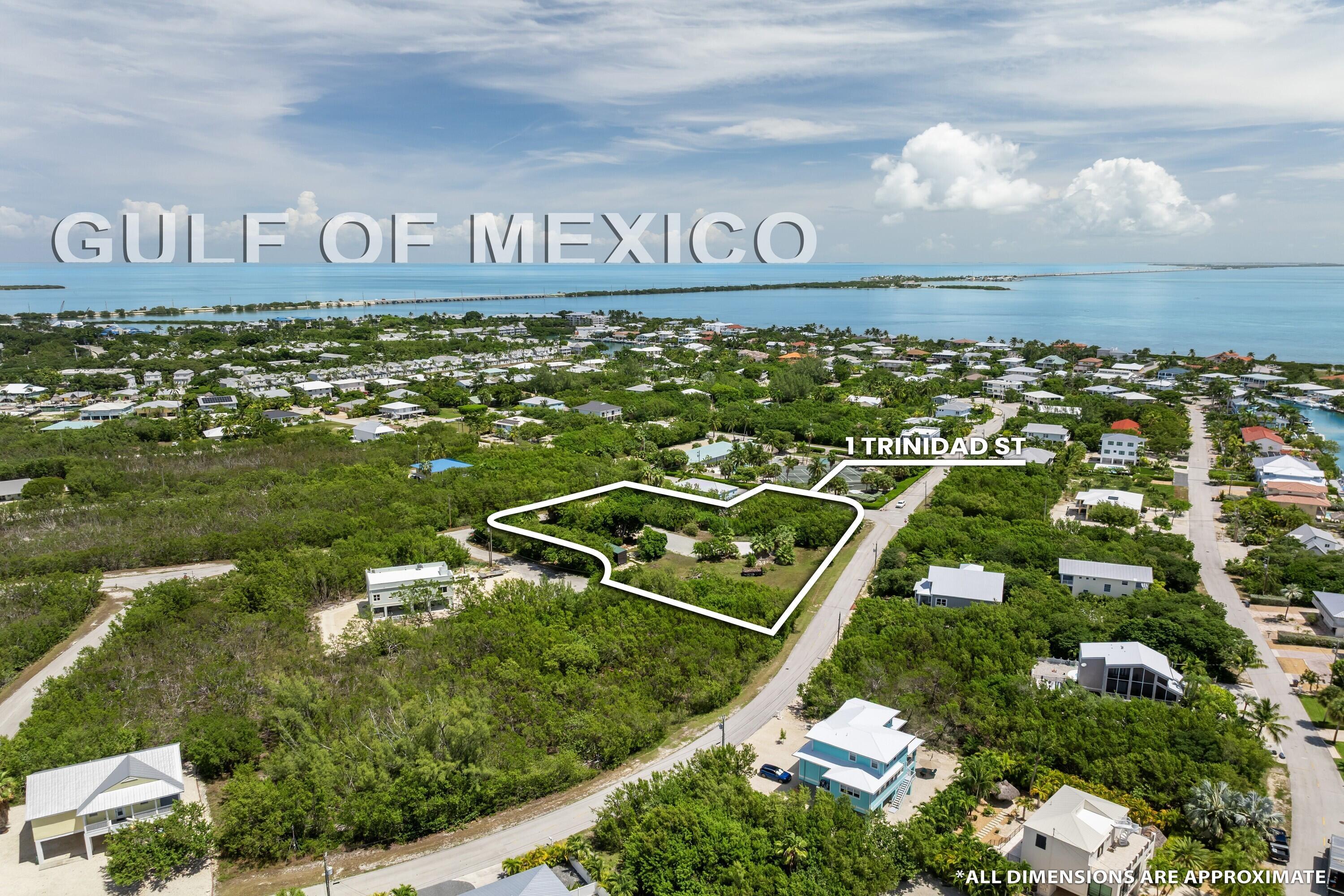 Image 4: DJI_20250829113928_0133_D
