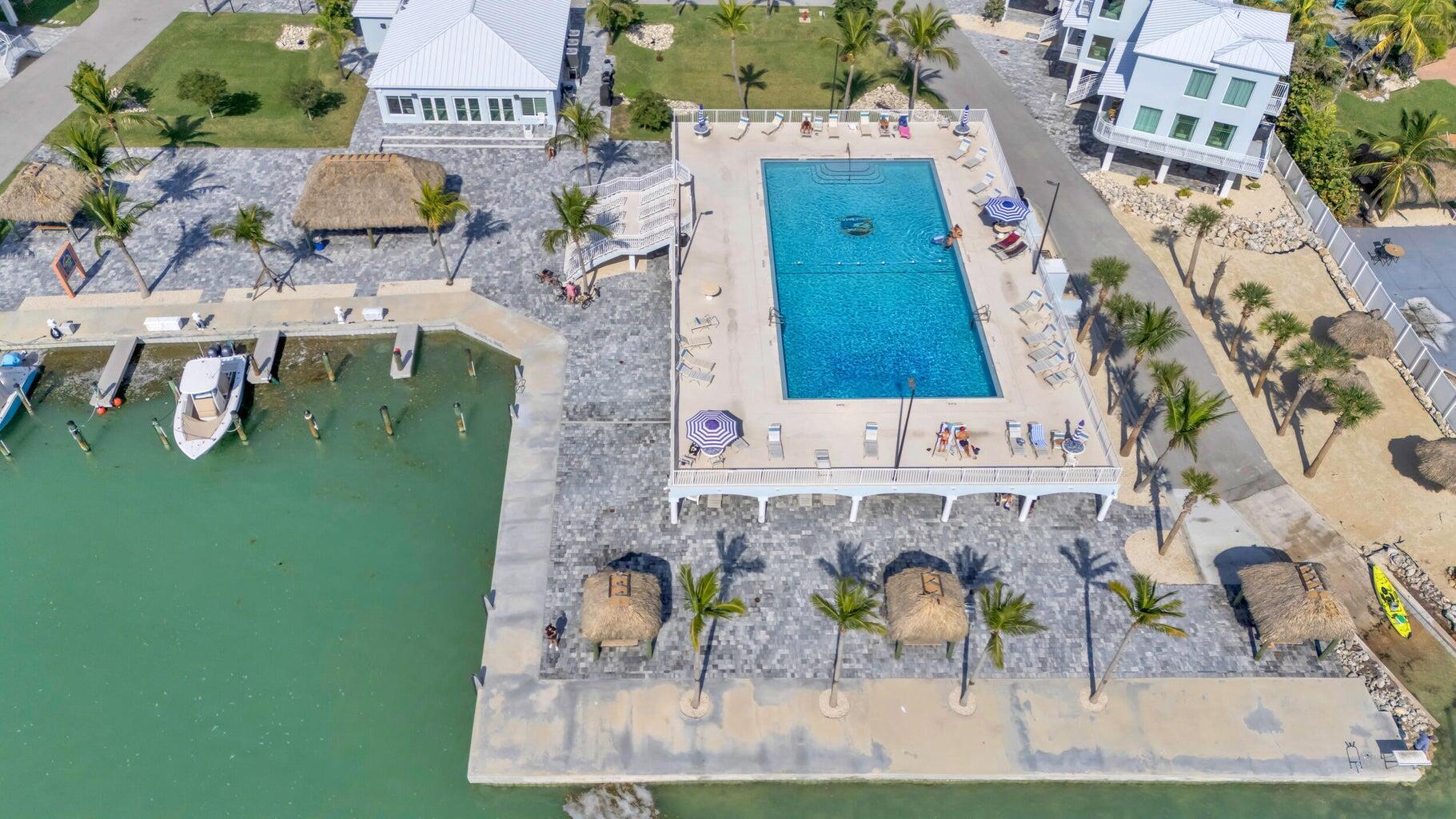 Image 4: Olympic sized swimming pool