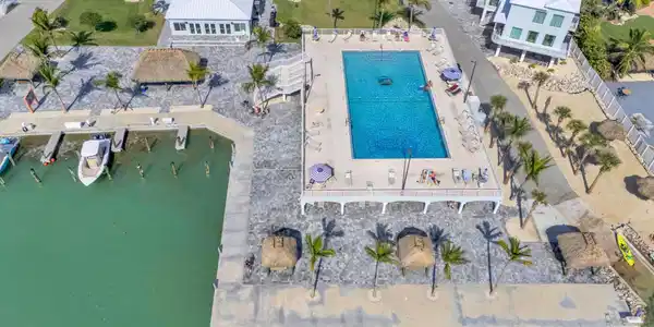 Image 4: Olympic sized swimming pool