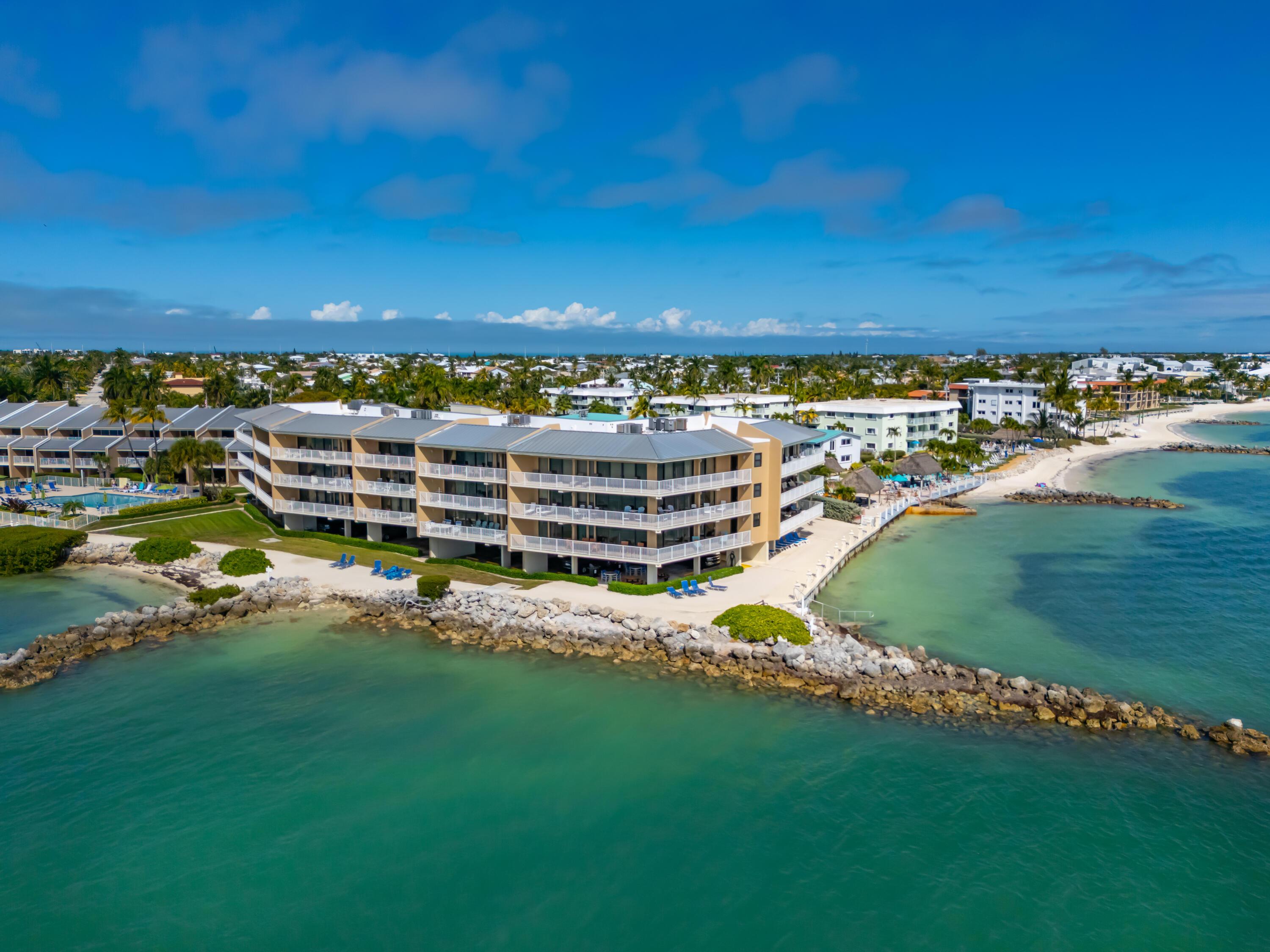 Image 3: DJI_20260123125059_0004_D