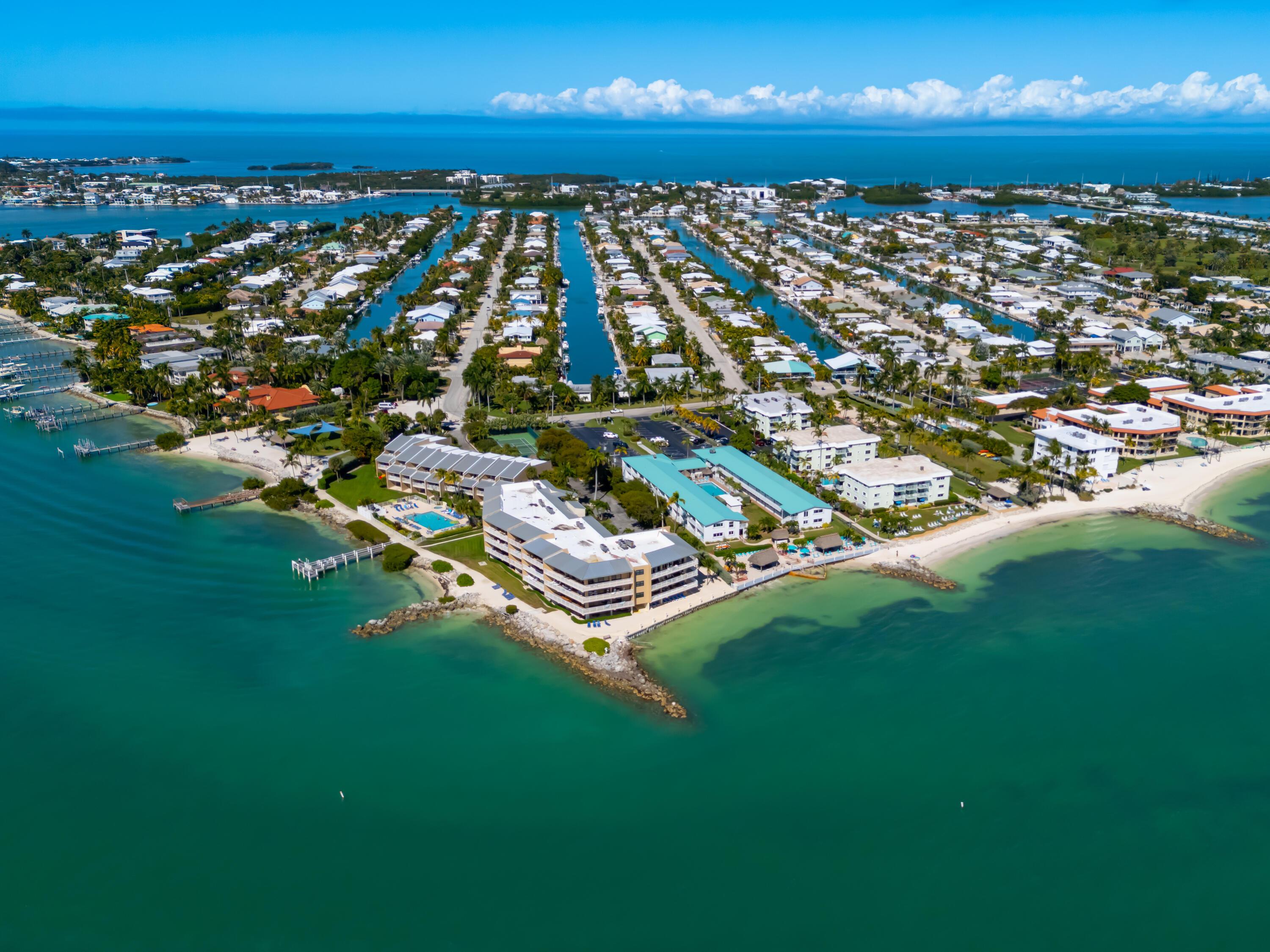 Image 4: DJI_20260123130416_0034_D