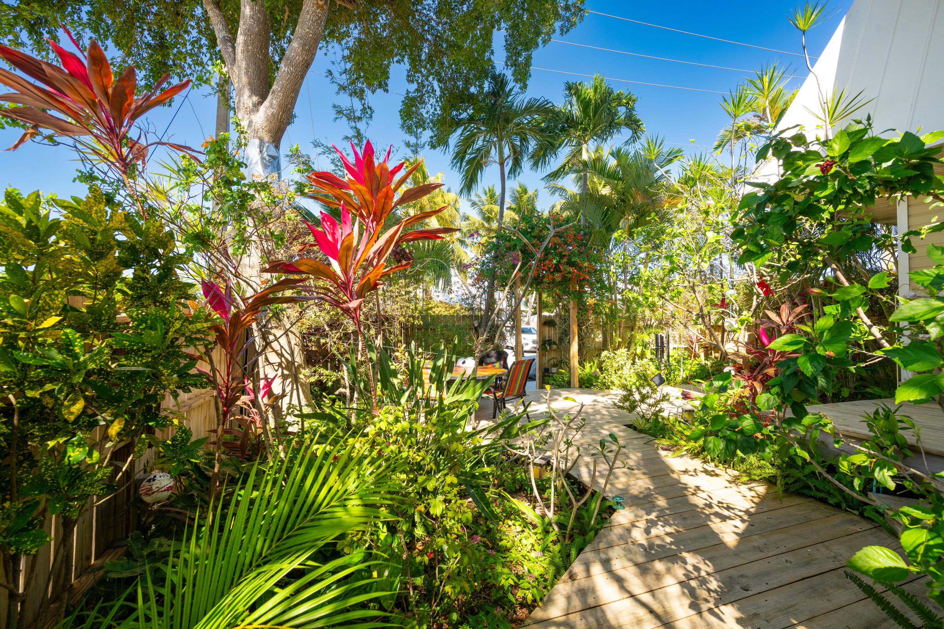 Image 2: fenced tropical yard