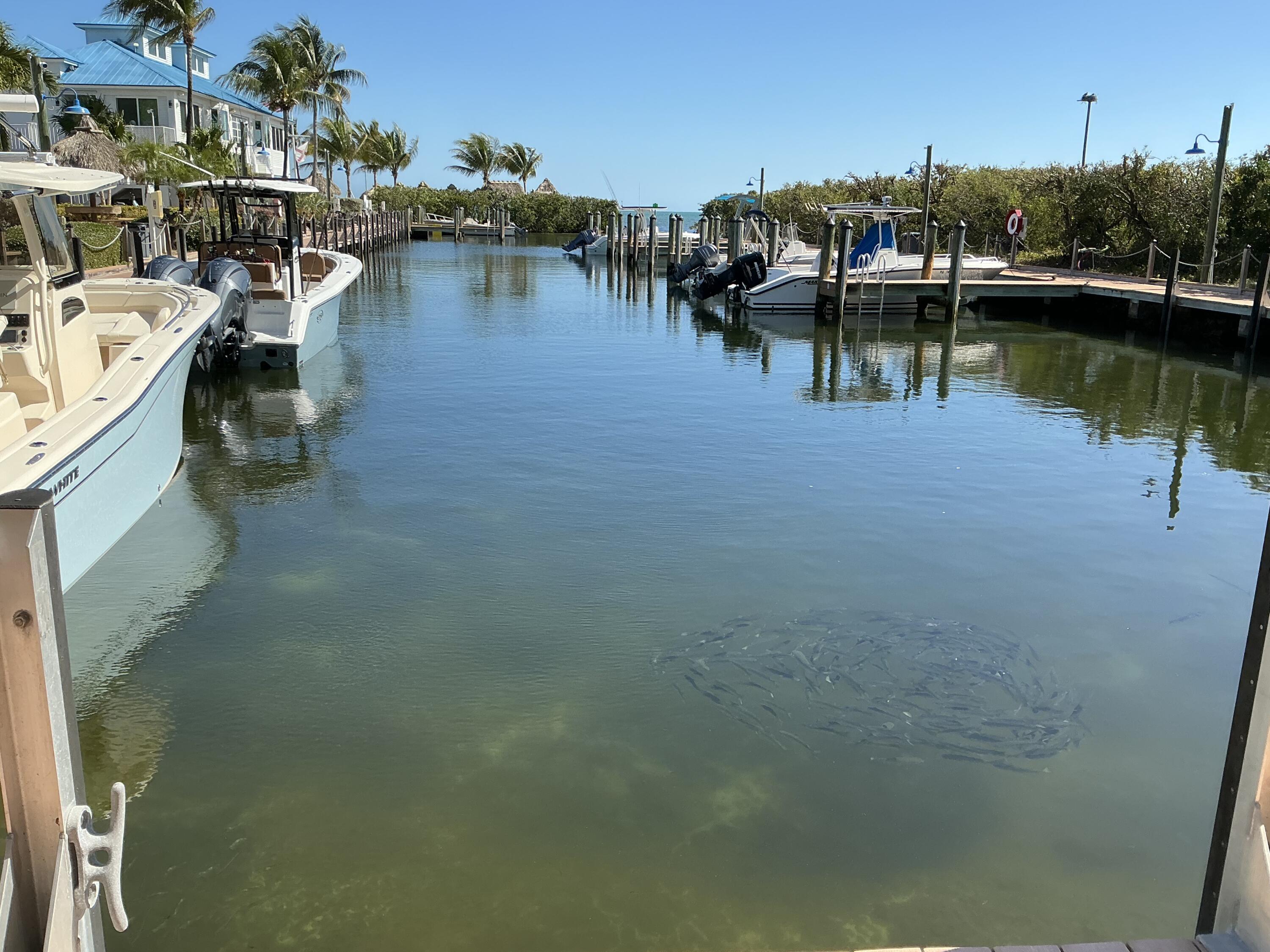 Image 3: Direct ocean access marina