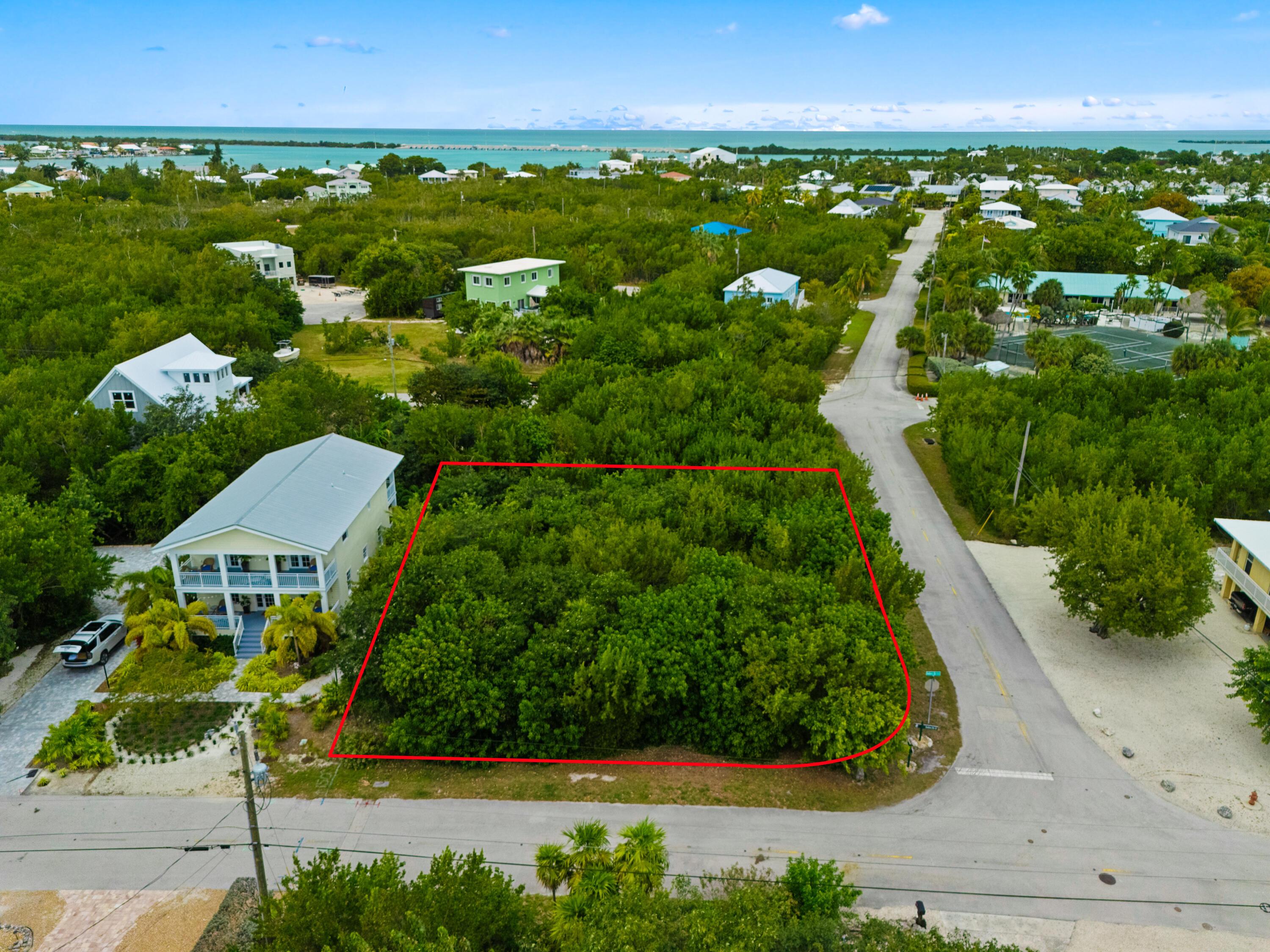 Image 4: Large Corner Lot
