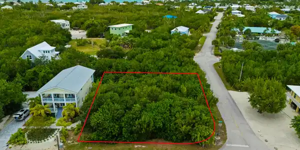 Image 4: Large Corner Lot