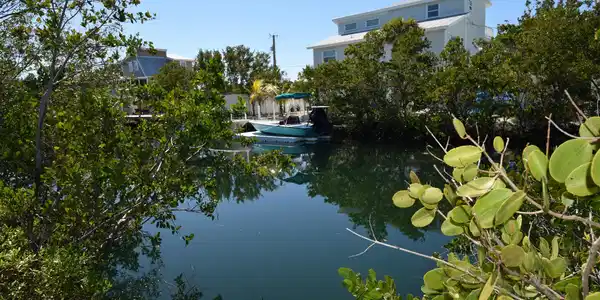 838 Loggerhead Lane