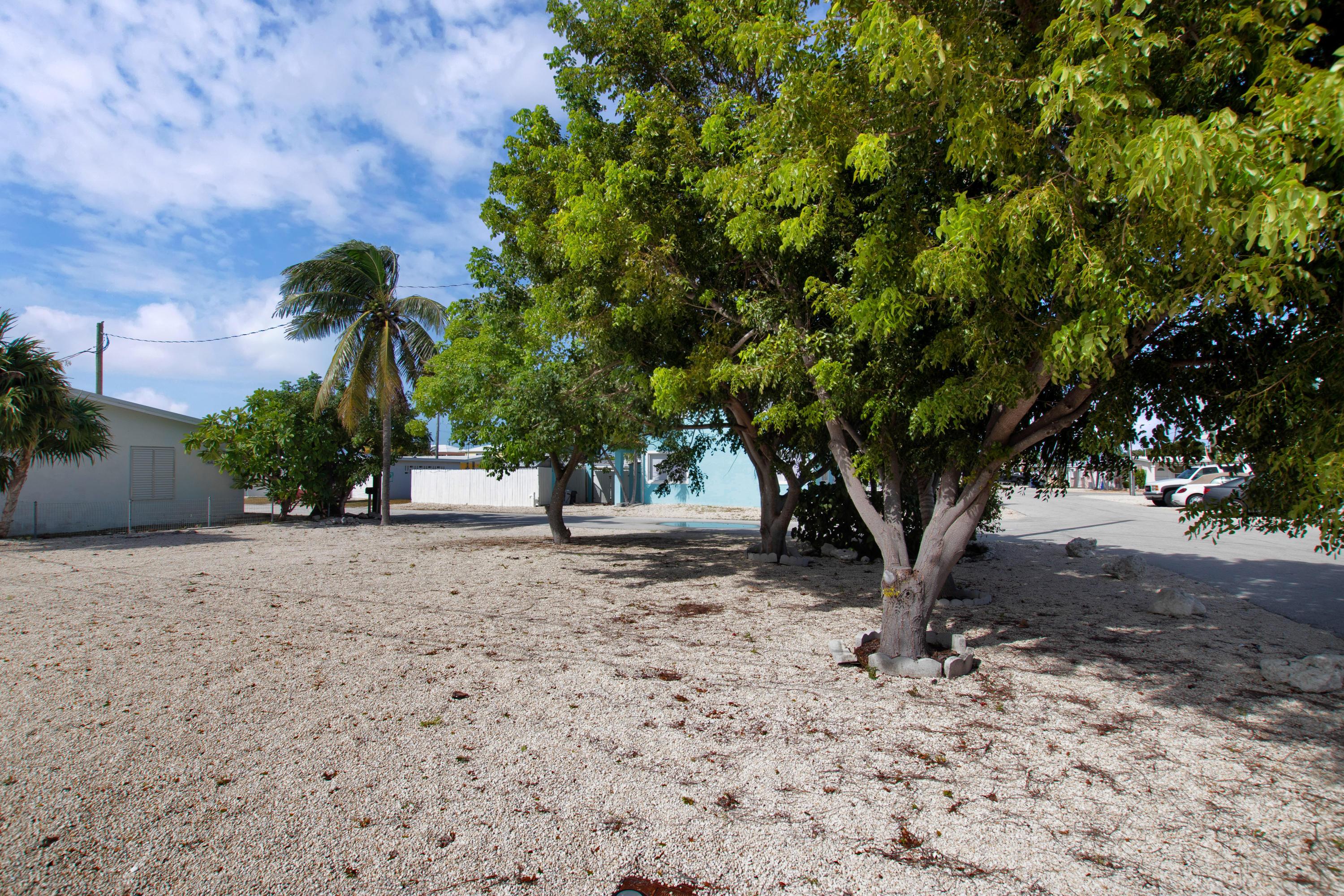 Image 3: new-1