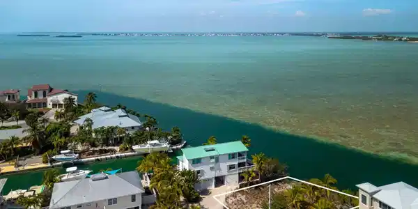 Image 3: Lagoon Drive_1oakstudiosdrone_14.outline