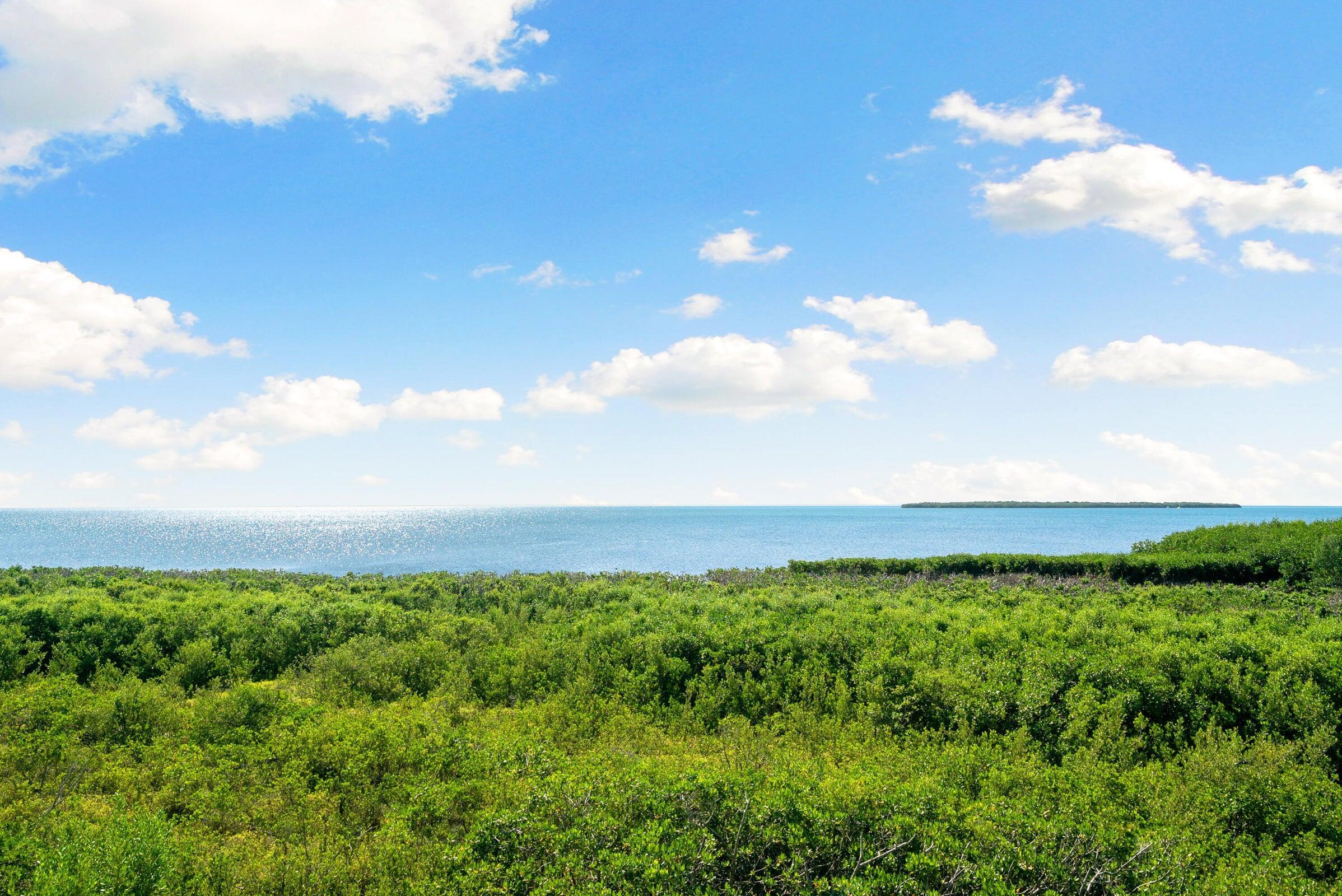 Image 3: Ocean View