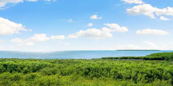 Image 3: Ocean View