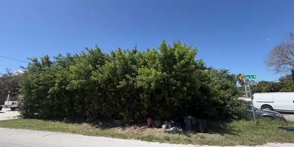 Park Drive