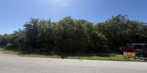 Park Drive