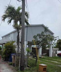 D1 10Th Avenue