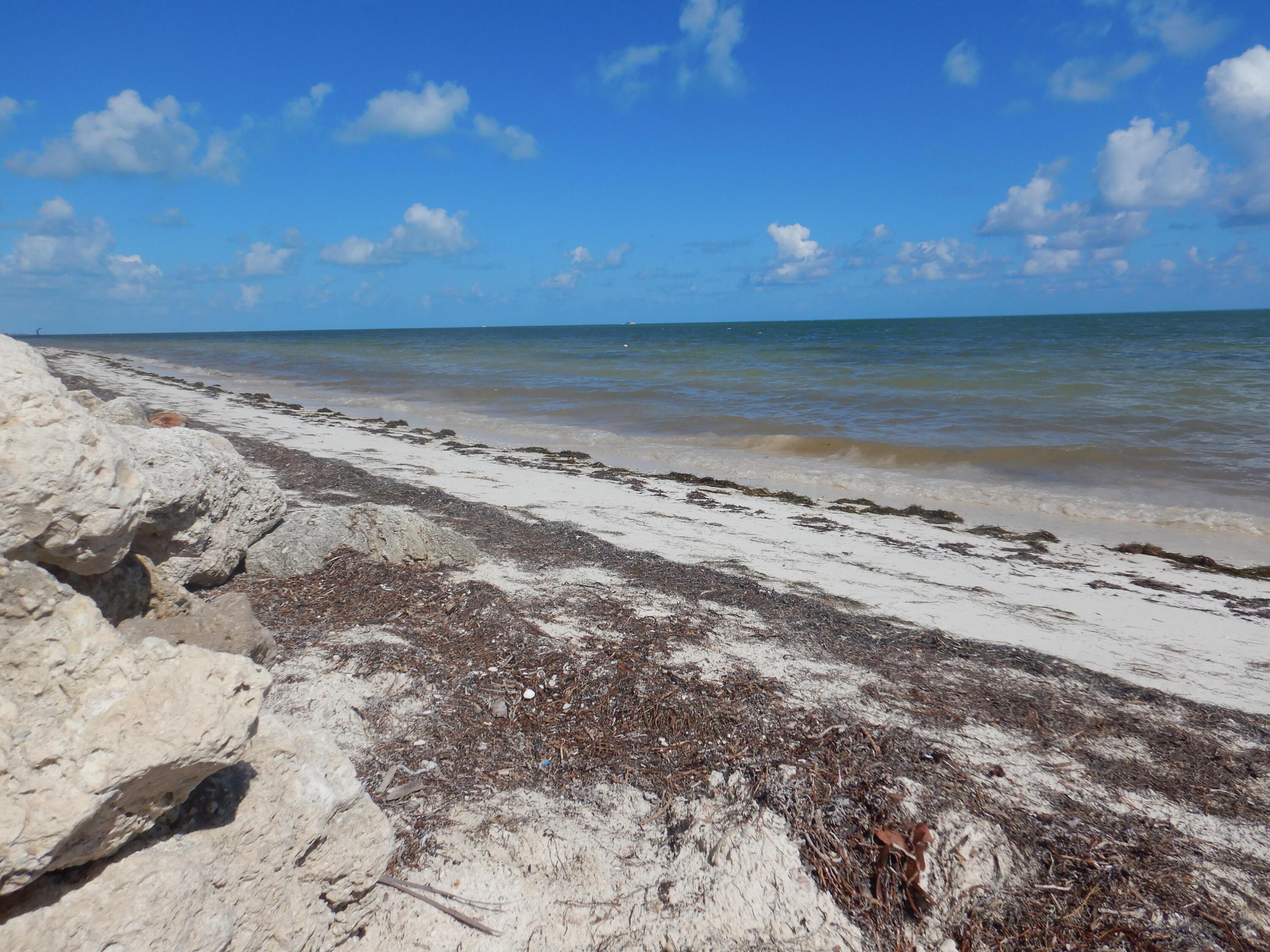 Image 4: Beach