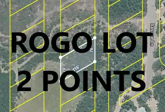 Image 1: ROGO2PT