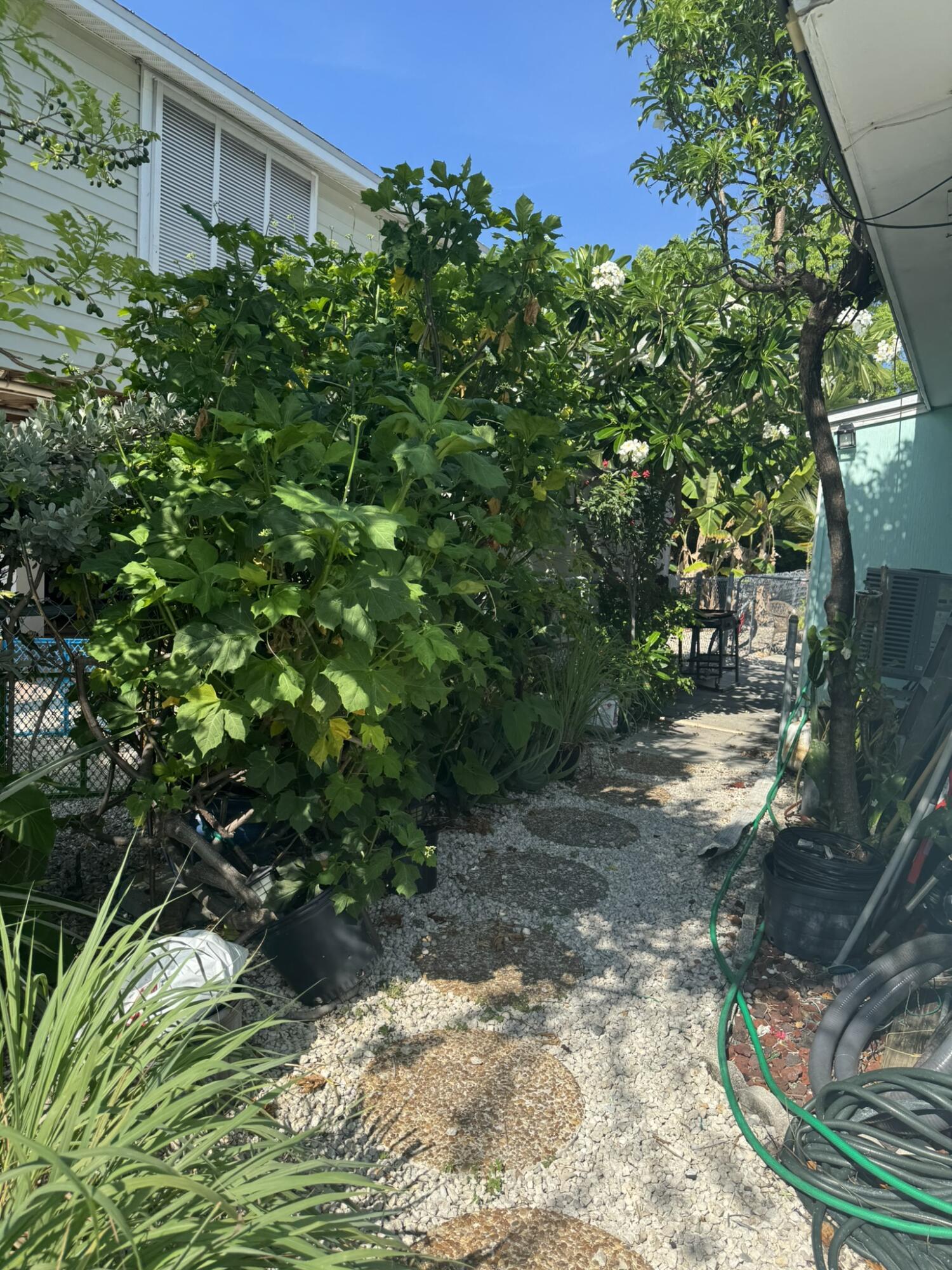 Image 2: Back Walkway