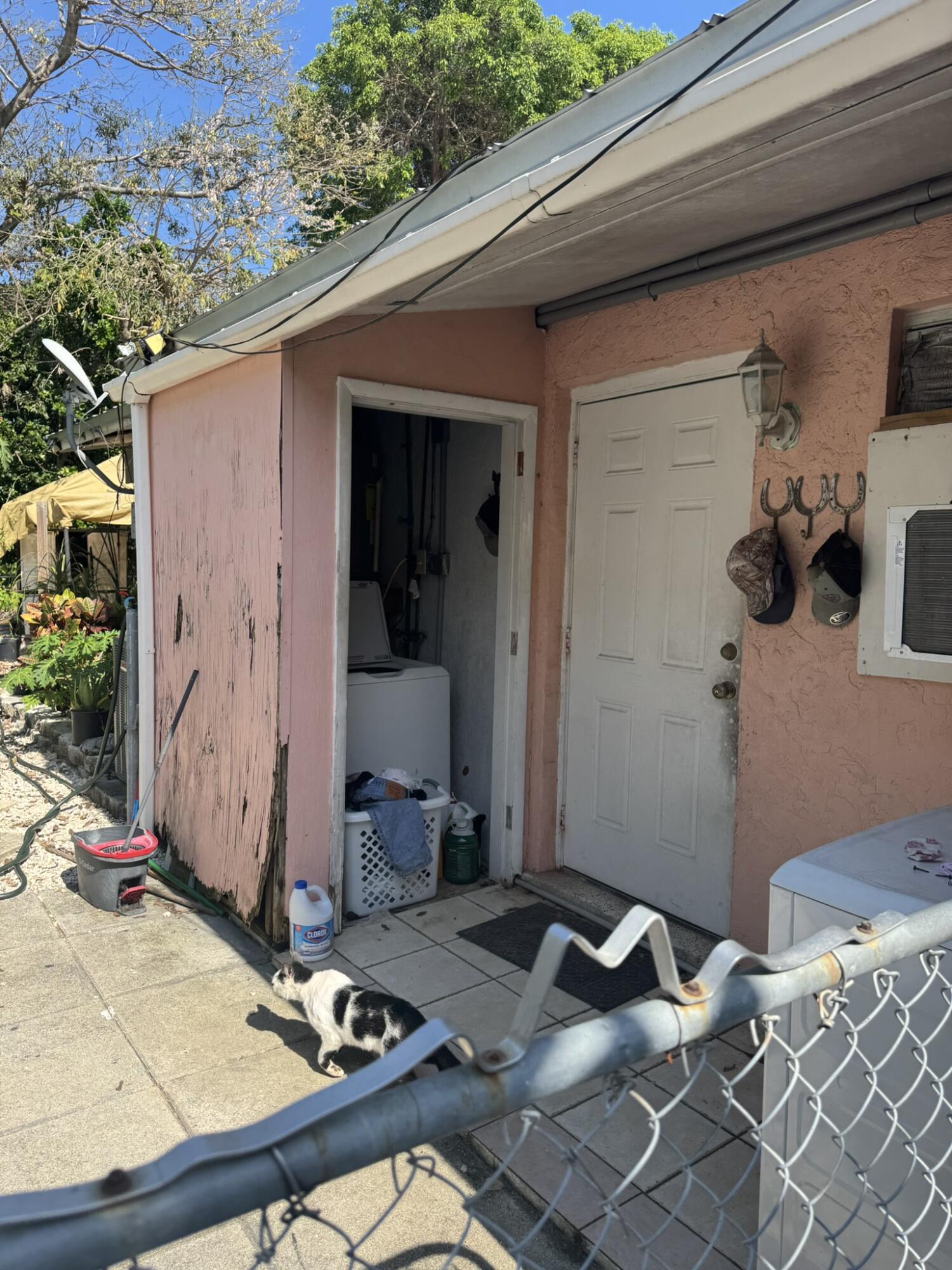 Image 3: Back Door