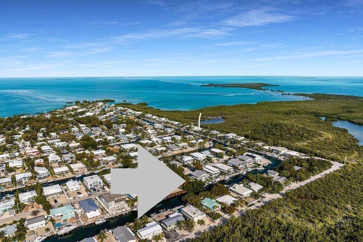 Image 1: Aerial 1