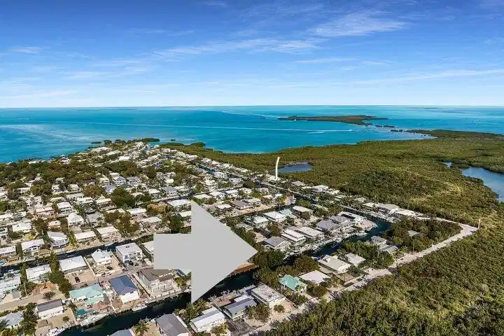 Image 1: Aerial 1
