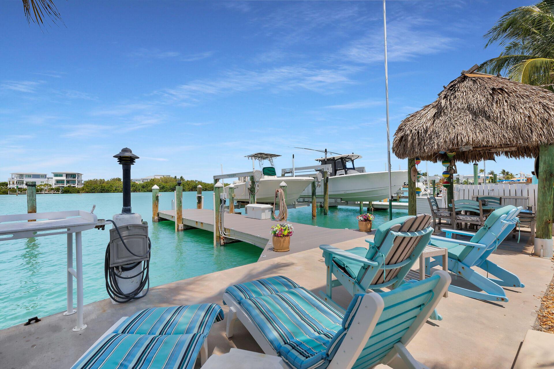 Image 3: Backyard