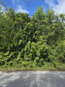 Lot 6 Date Palm Drive