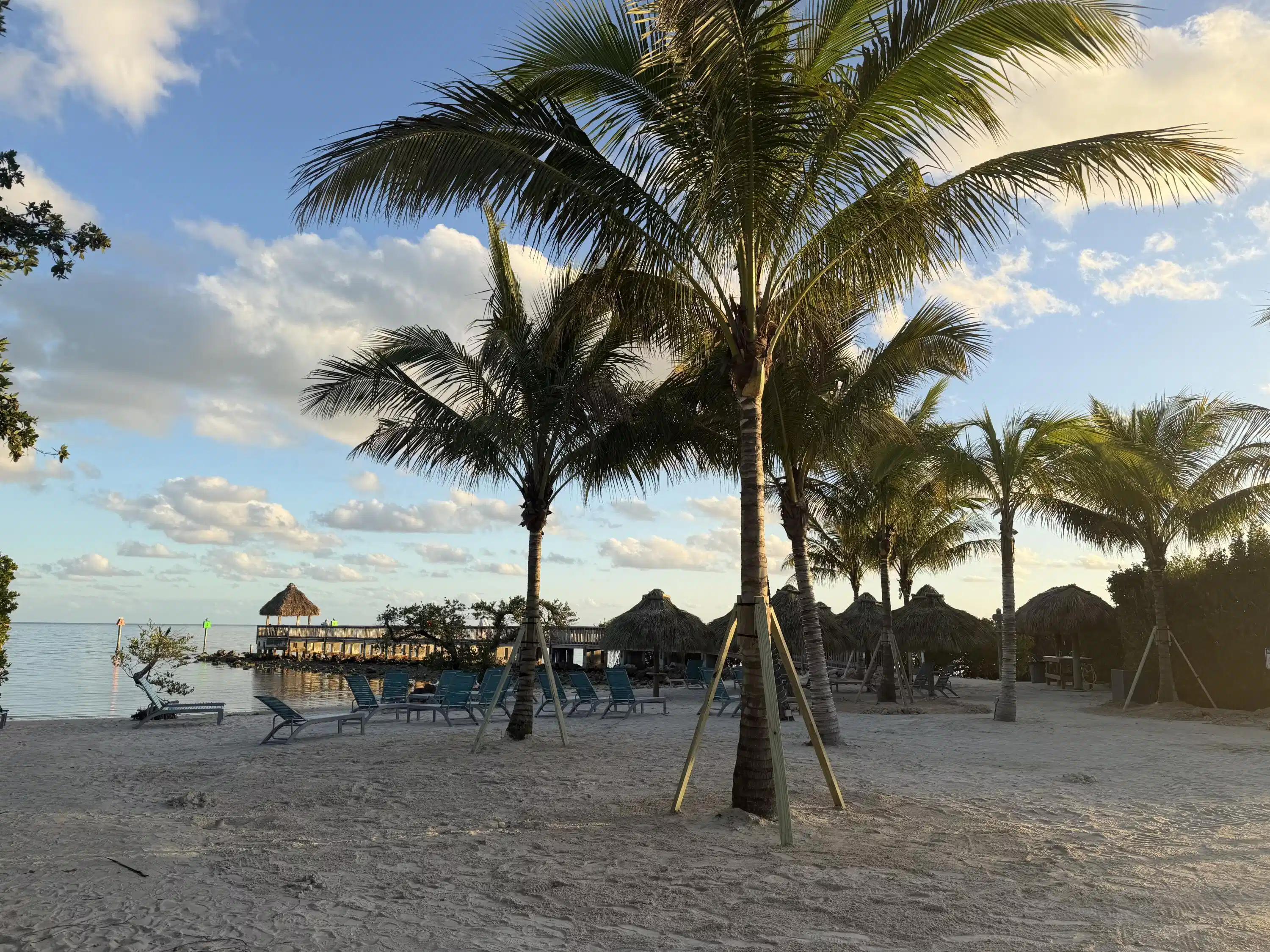 Image 1: Improved beach