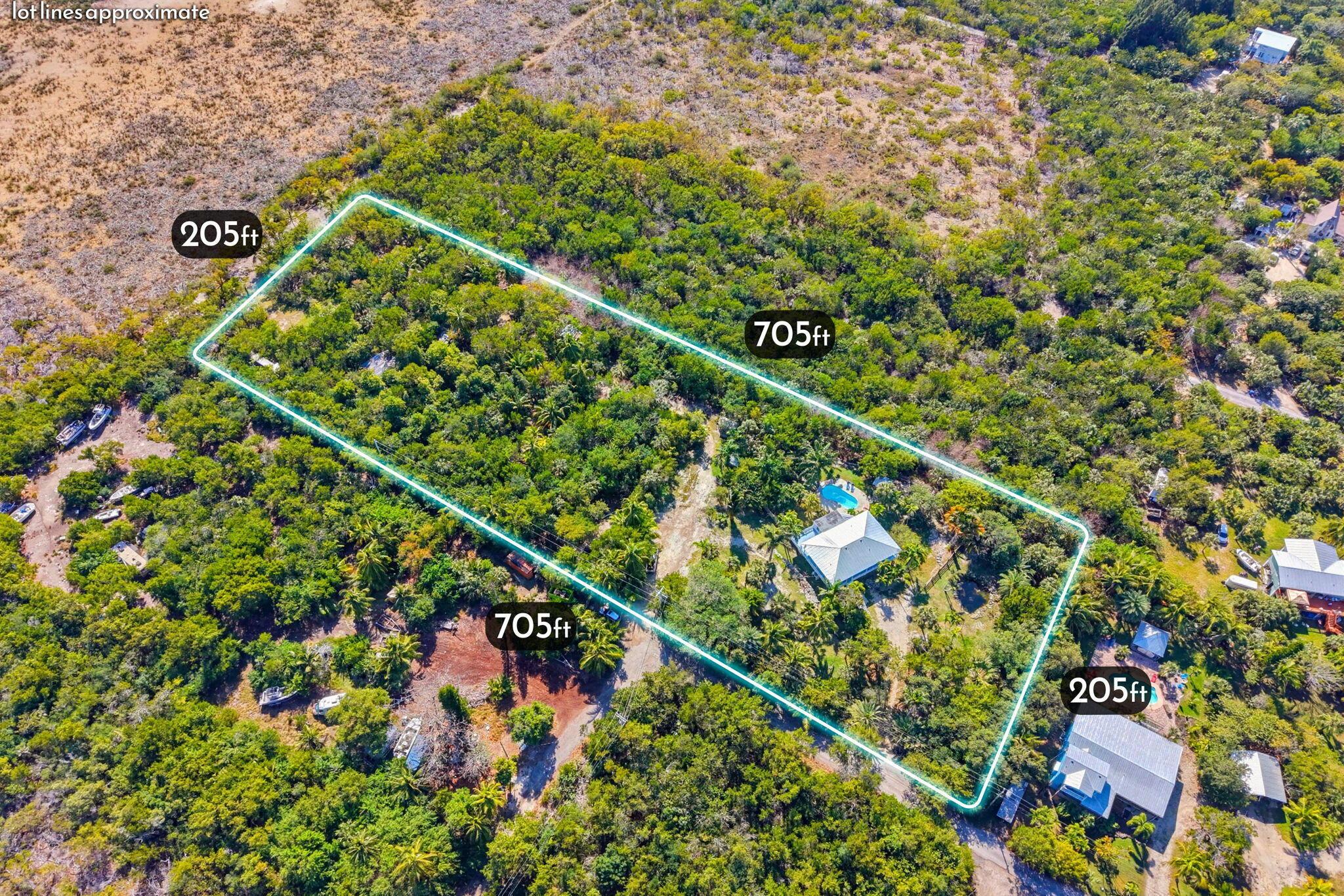 Image 4: 16-web-or-mls-28155 Spain Blvd 015