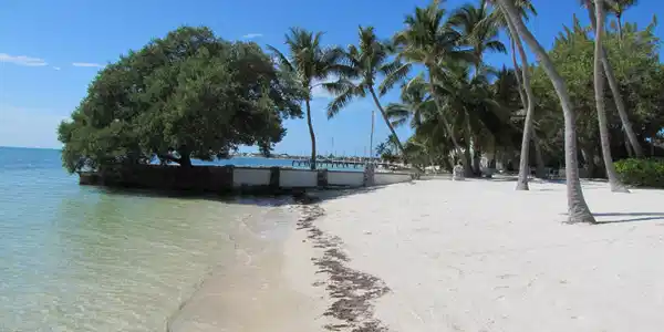 Image 2: 3
