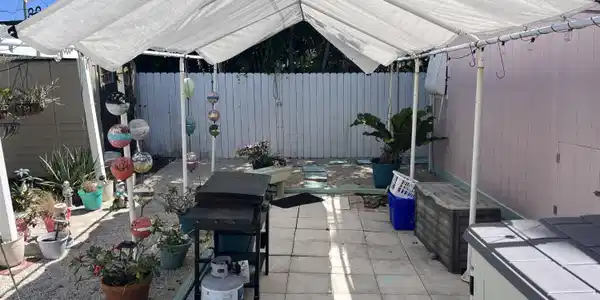 Image 3: IMG_1783