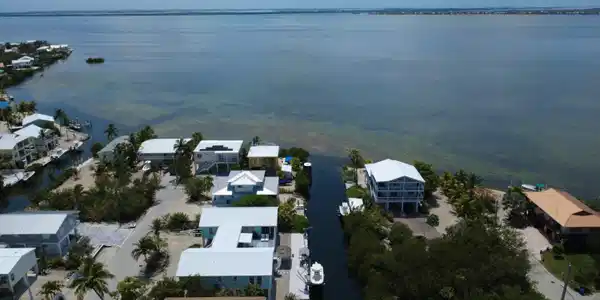 Image 4: DJI_0012