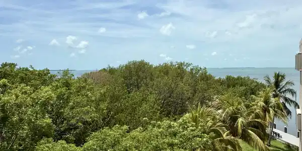 Image 4: 4 View 1