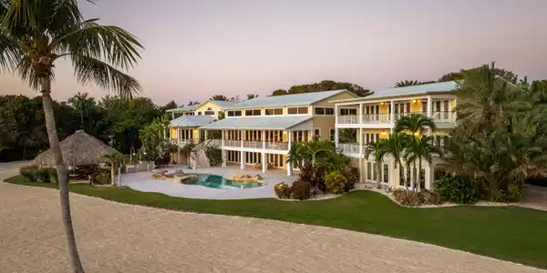 Image 2: Palm Paradise