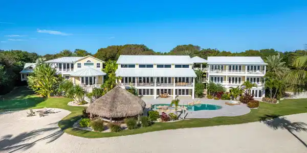 Image 4: Palm Paradise