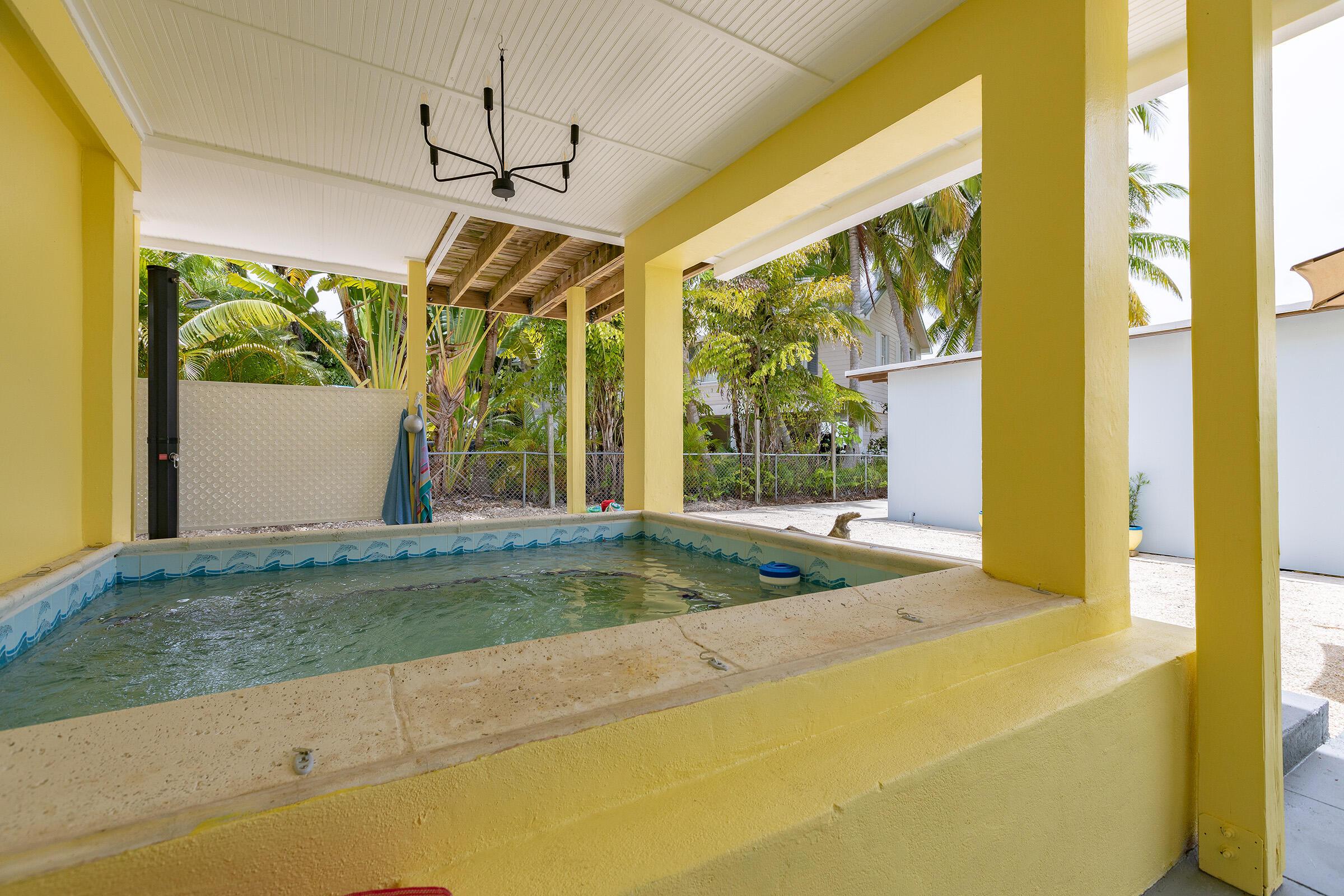 Image 4: Dipping Pool
