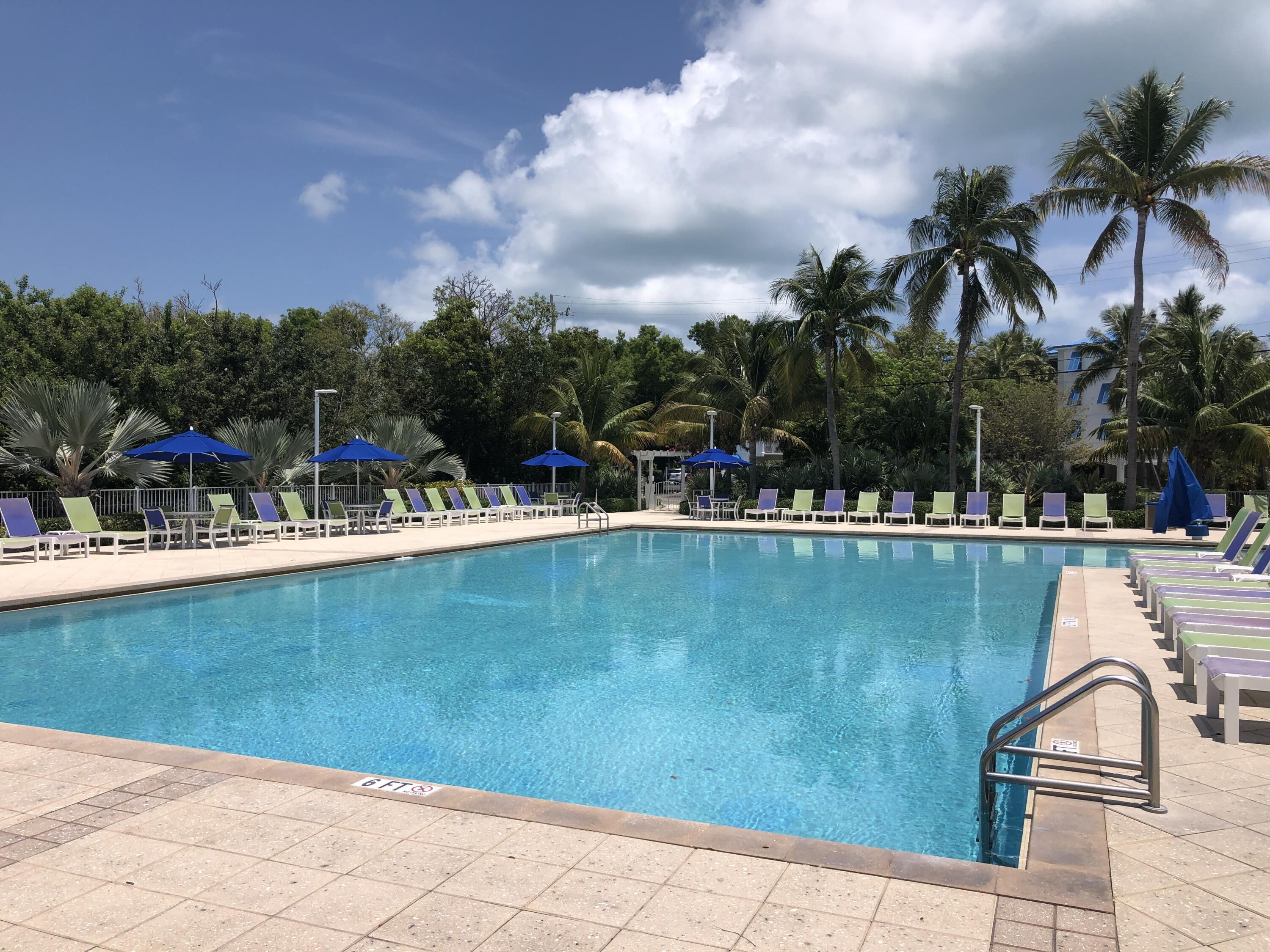 Image 4: Heated pool