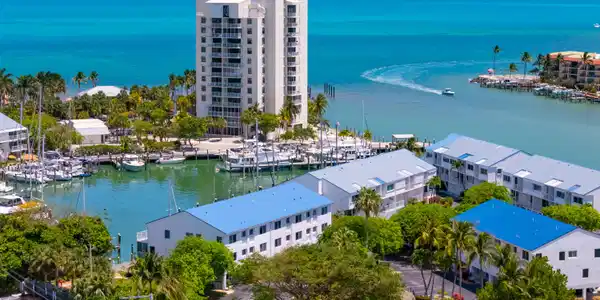 Image 4: 4