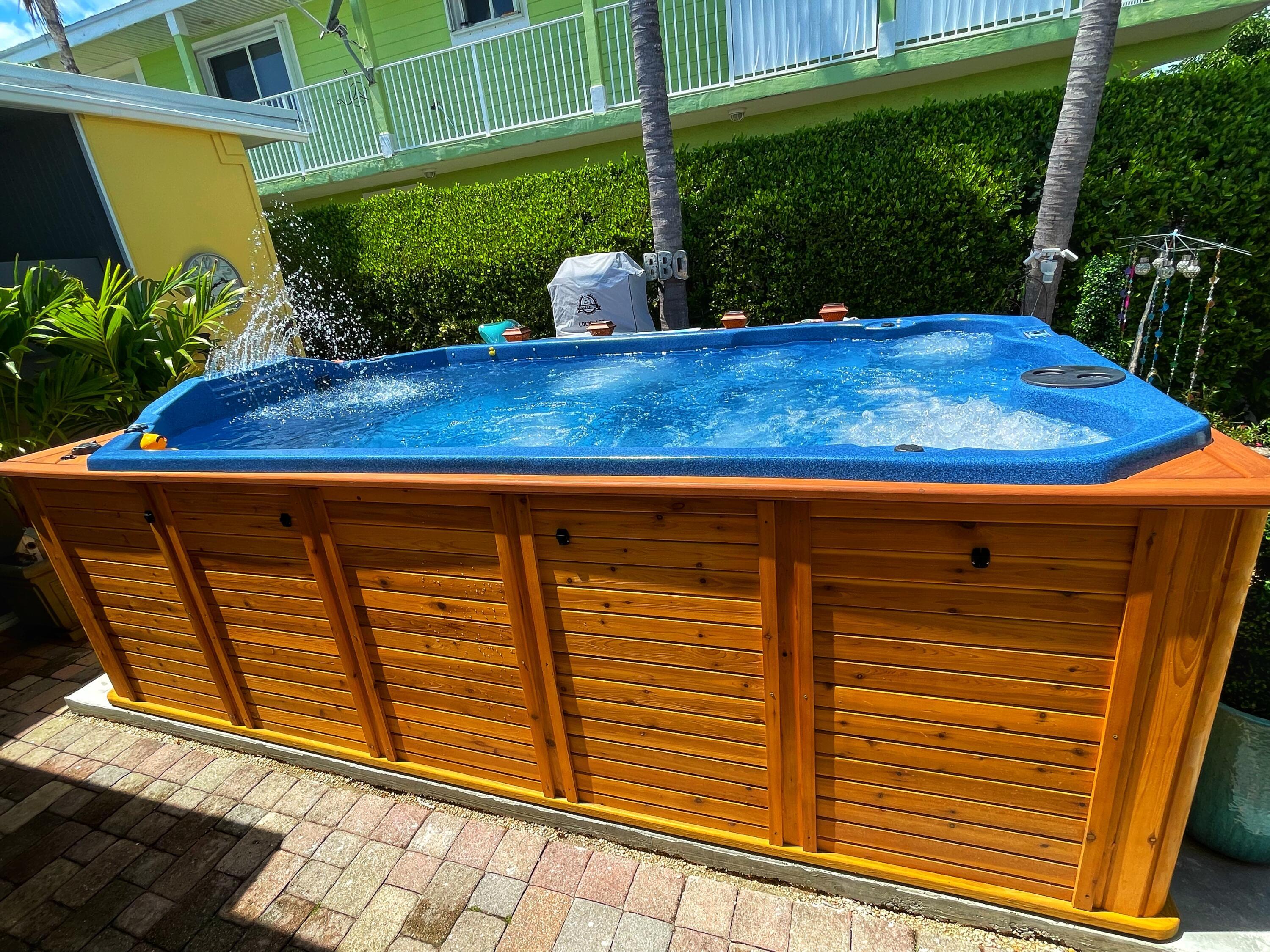 Image 4: Swim Spa