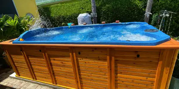 Image 4: Swim Spa