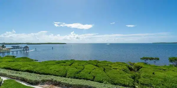 Image 3: Open Ocean View