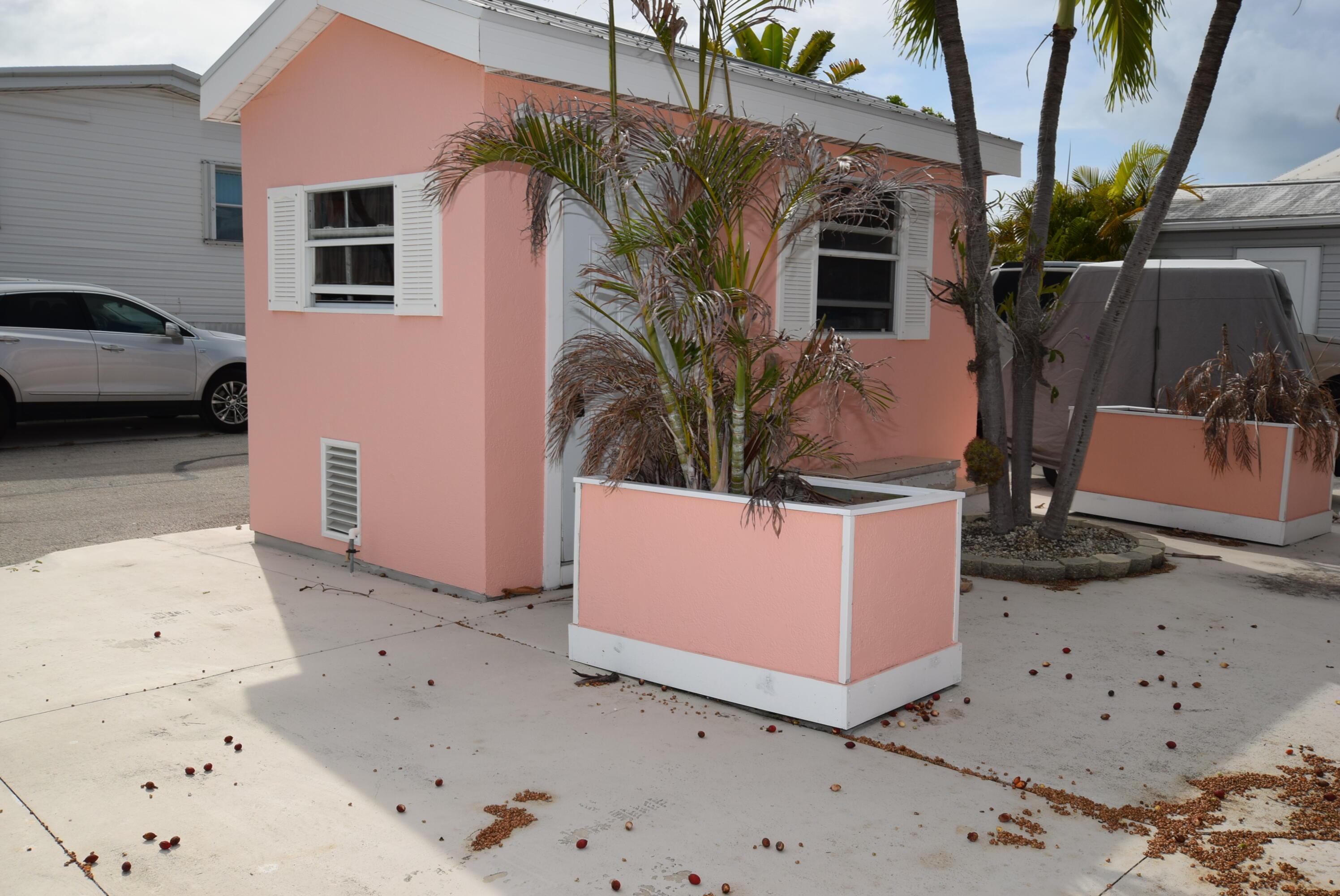 Image 4: DSC_0026